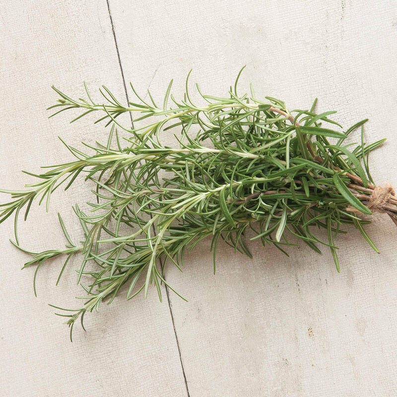 Rosemary 4" Pot -Perennial