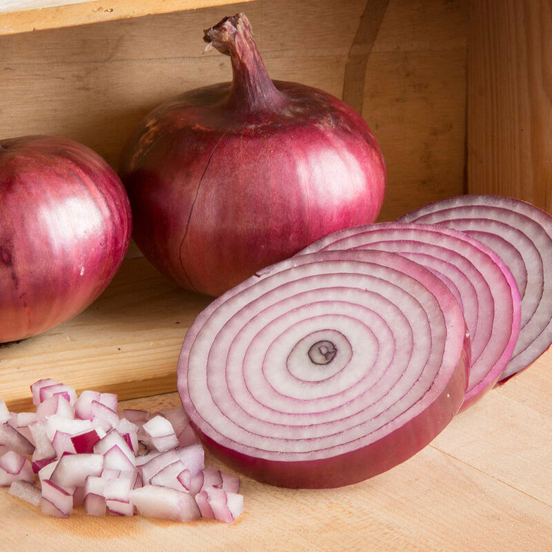 Red Onion 6 Pack