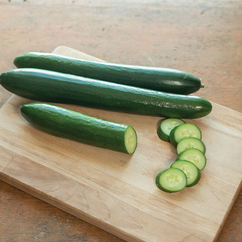 Unagi Cucumber 4" Pot
