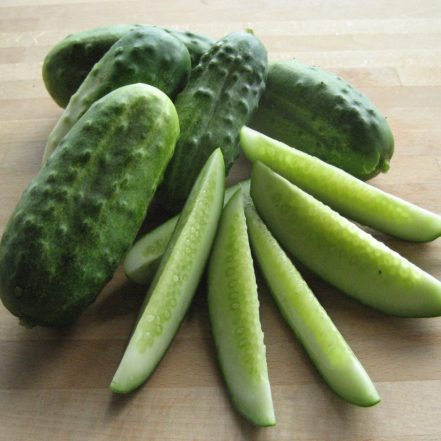 National Pickling Cucumber 4" Pot